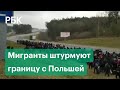 Толпа мигрантов вырвалась из Белоруссии. Беженцам удалось повредить ограждение из колючей проволоки