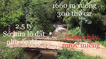 Đã Bán  sau 7 ngày đi quay nhà vườn suối bao quanh như ốc đảo ở láng lớn châu đức bà rịa vũng tàu