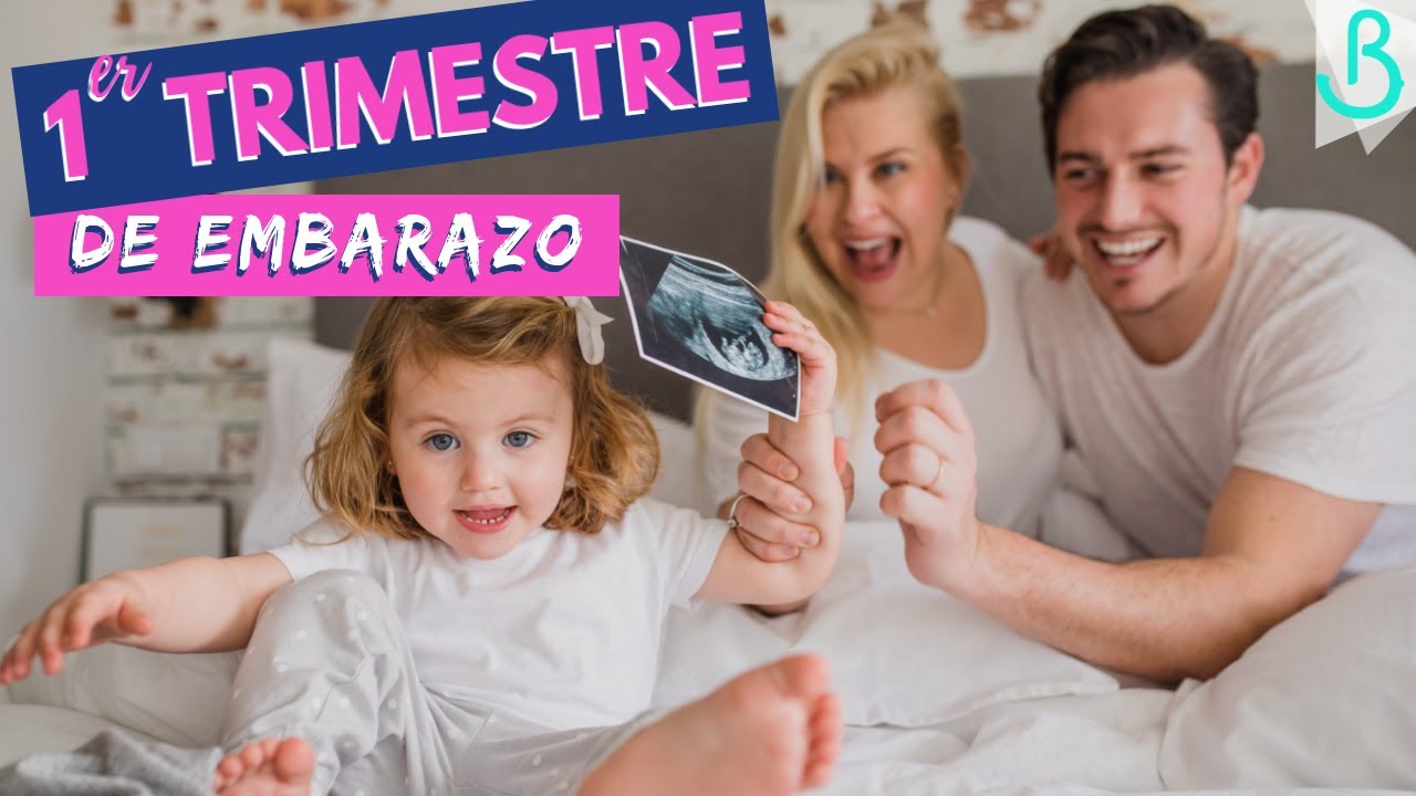 1️⃣🤰🏼MI PRIMER TRIMESTRE de EMBARAZO + NIÑO O NIÑA? Baby Suite by Pau YouTube 1️⃣🤰🏼MI PRIMER TRIMESTRE de EMBARAZO + NIÑO O NIÑA? Baby Suite by Pau YouTube