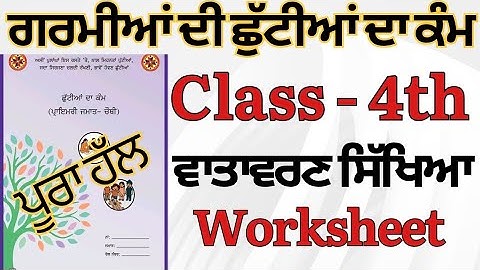 Class 4th Summer Holiday Homework June 2025|PSEB 4th Class Holiday Homework EVS/Environmental Edu...