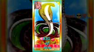 Mr Gogo Walanew Status