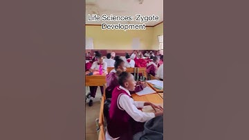 My learners make my job easy! #Zygote #humanreproduction #biology