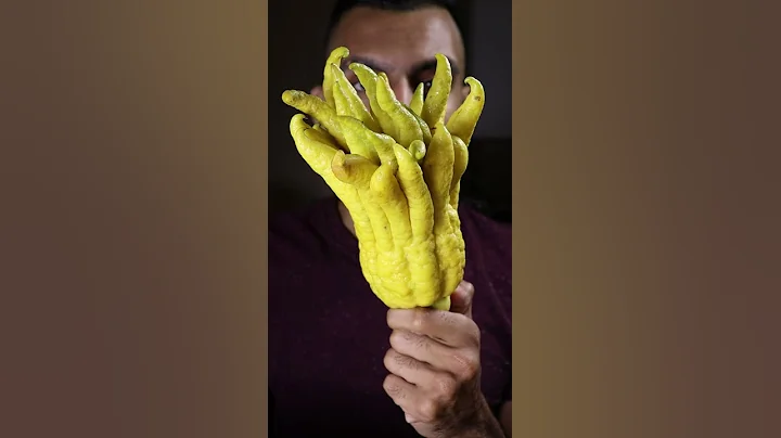 My First Time Trying Buddha's Hand - DayDayNews