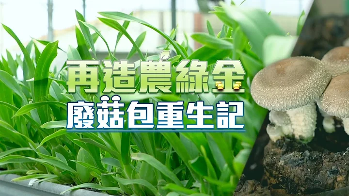 单元3｜菇菇不息！农业循环 废菇包重生记｜华视新闻杂志 EP2296 2022.01.01 - 天天要闻