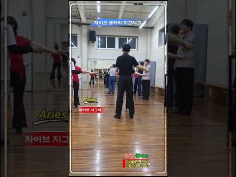 자이브 로타리 지그재그