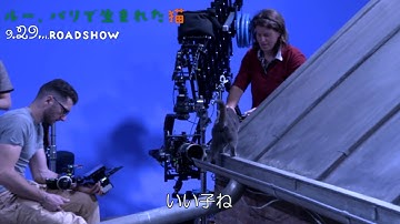 映画「ルー、パリで生まれた猫」メイキング映像