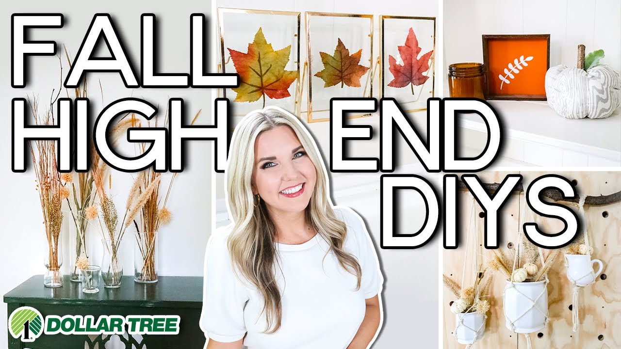 10 Dollar Tree Fall DIYs that are BETTER than Retail...Shocking Results ...