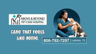Above & Beyond Pet Care Hospital