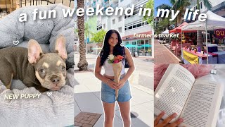 A fun WEEKEND IN MY LIFE | new puppy, farmer's market, shopping & reading..