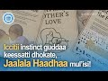 Waaqayyoo Haadha Waldaa Waaqayyoo Waaqayyoo Haadha Waldaa Waaqayyoo