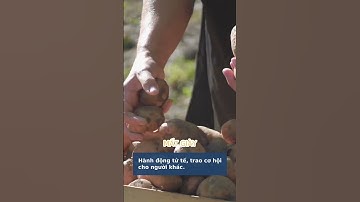 Câu chuyện về Gandhi và đôi giày: Cho đi để lan tỏa giá trị