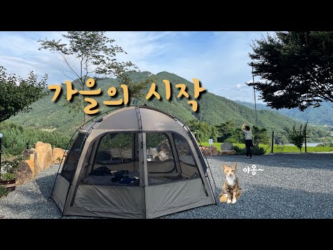 친한언니랑 엄마랑 바톤터치 / 초가을 캠핑 / 모녀캠핑 / 고양이 분량 80% / 경남 신생 캠핑장 / 창녕 옥천1382 / 카즈미 비바돔 입식