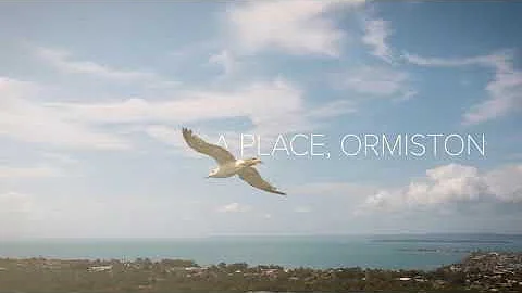 Debbie Paynter REMAX Bayside Presents 9 Allamanda ...