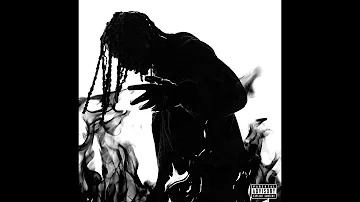 Playboi Carti - NARCISSIST (FULL ALBUM)