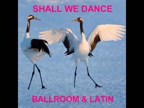 Shall we dance   quickstep