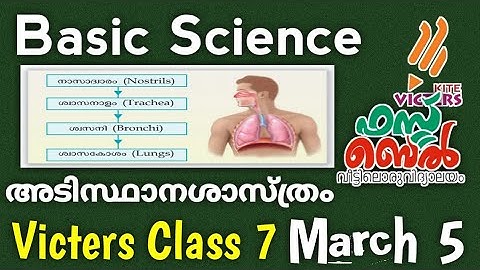 Class 7 Victers Channel Basic Science Worksheet|class 7 victers today|victers channel class 7|scert