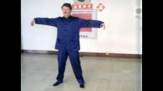 Heng Ha, Chi Kung avanzado, Maestro Augusto López Rincón