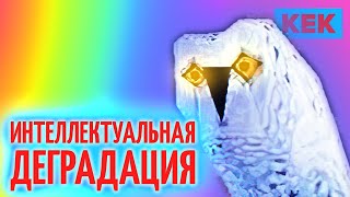 ИНТЕЛЛЕКТУАЛЬНАЯ ДЕГРАДАЦИЯ / ЛУЧШИЕ МОМЕНТЫ ТРЭШ-ЧГК