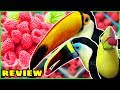 Toucans Try Raspberries for the First Time! | Toucan Fruit Reviews