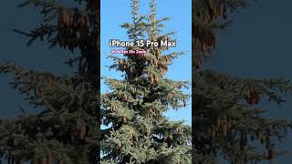 iPhone 15 Pro Max Zoom Test / 4K 60fps 15x Zoom #iphone15 #iphone15pro #iphone15promax