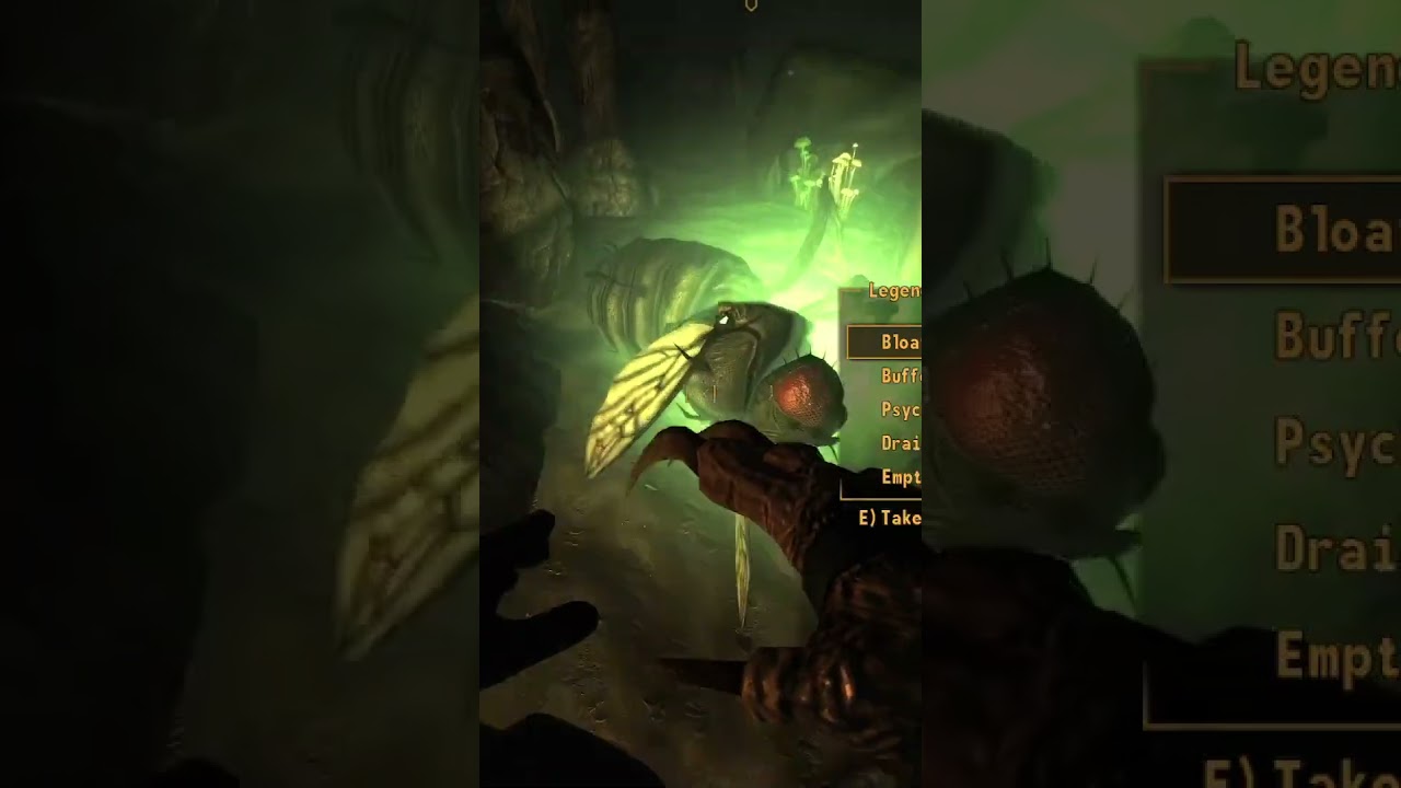 Punching the Legendary Bloatfly. 