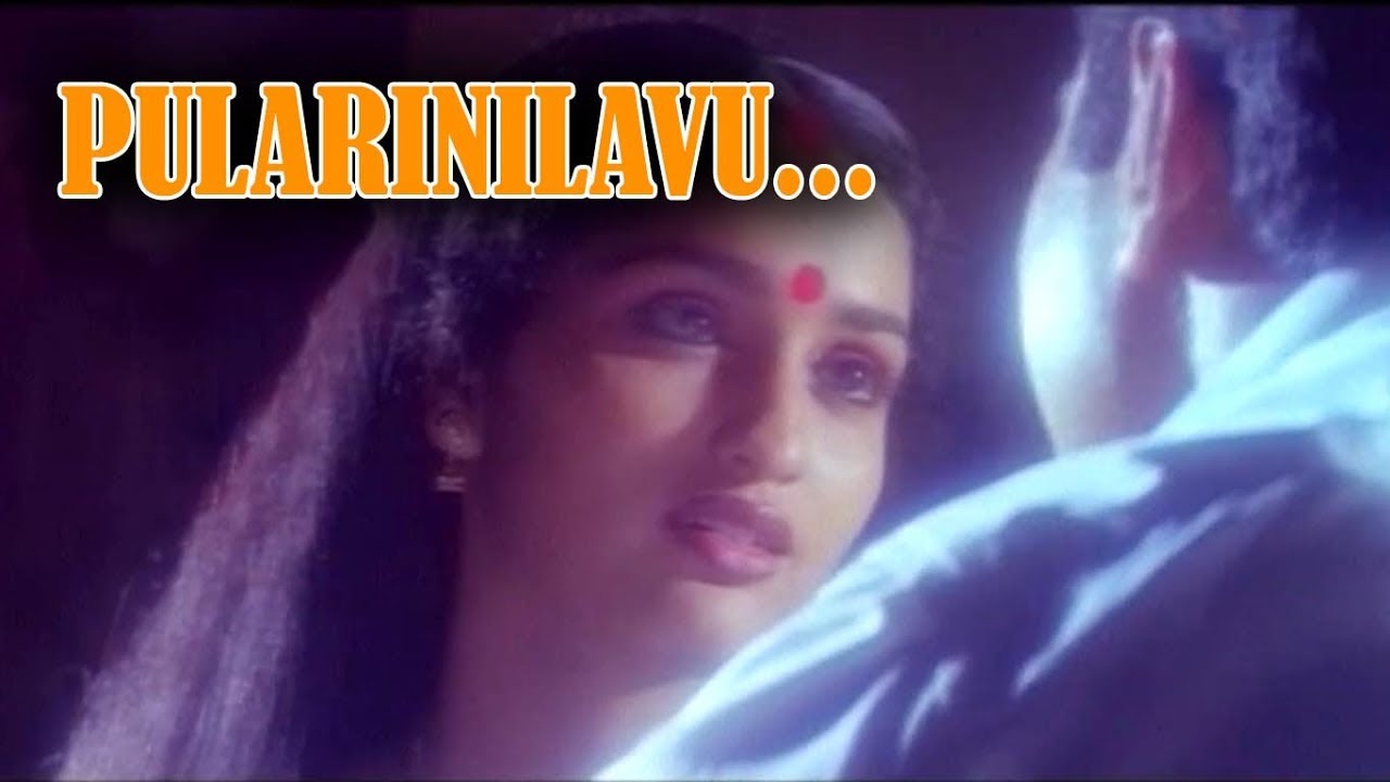 Pulari nilavu    Pallaavoor Devanarayanan Malayalam Movie Song  Mammootty  Sangeetha