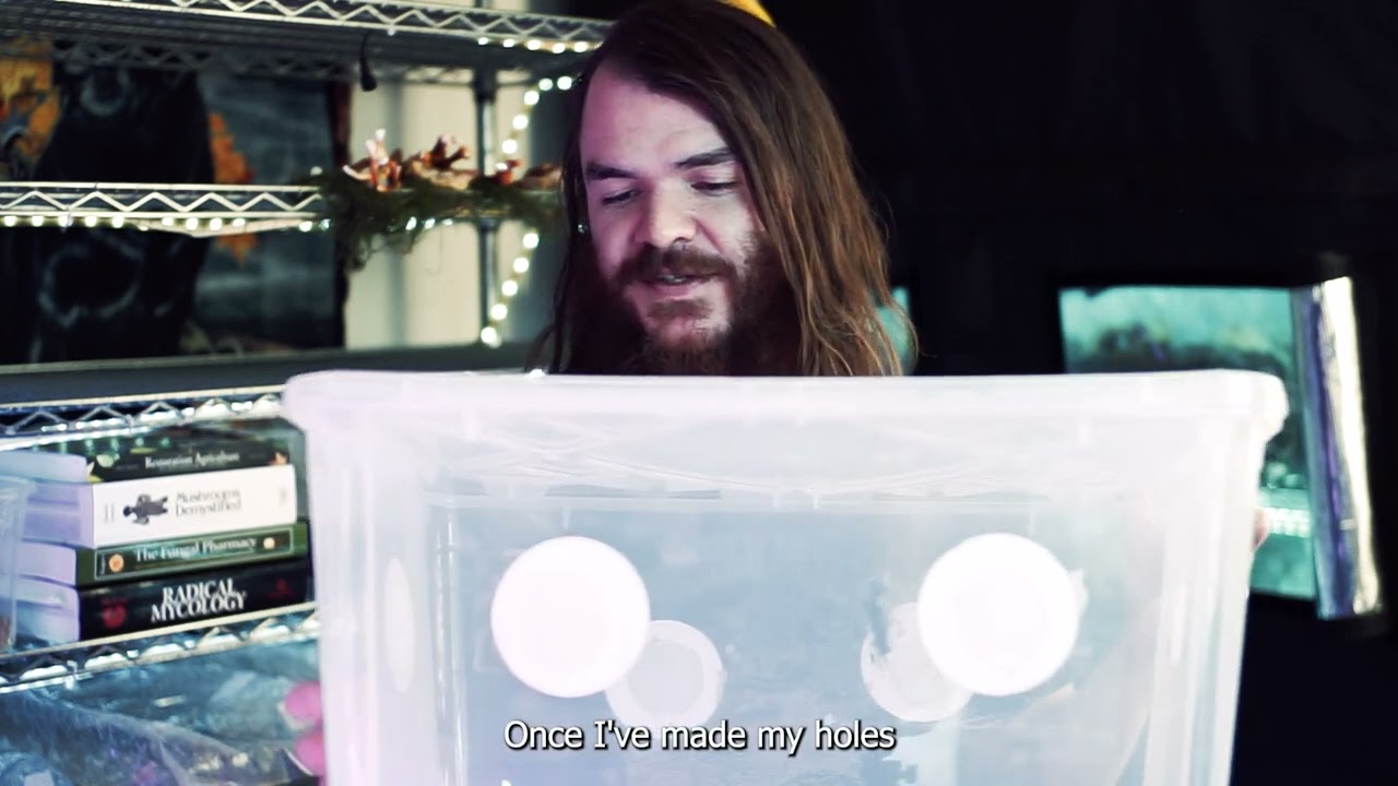 Making Mono Tub Humidity Chambers for Your Mushrooms - the Low Tech Way