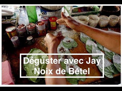 Vidéo: Quelle Est La Dangerosité De La Noix De Bétel