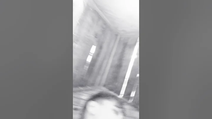 Vlog 3