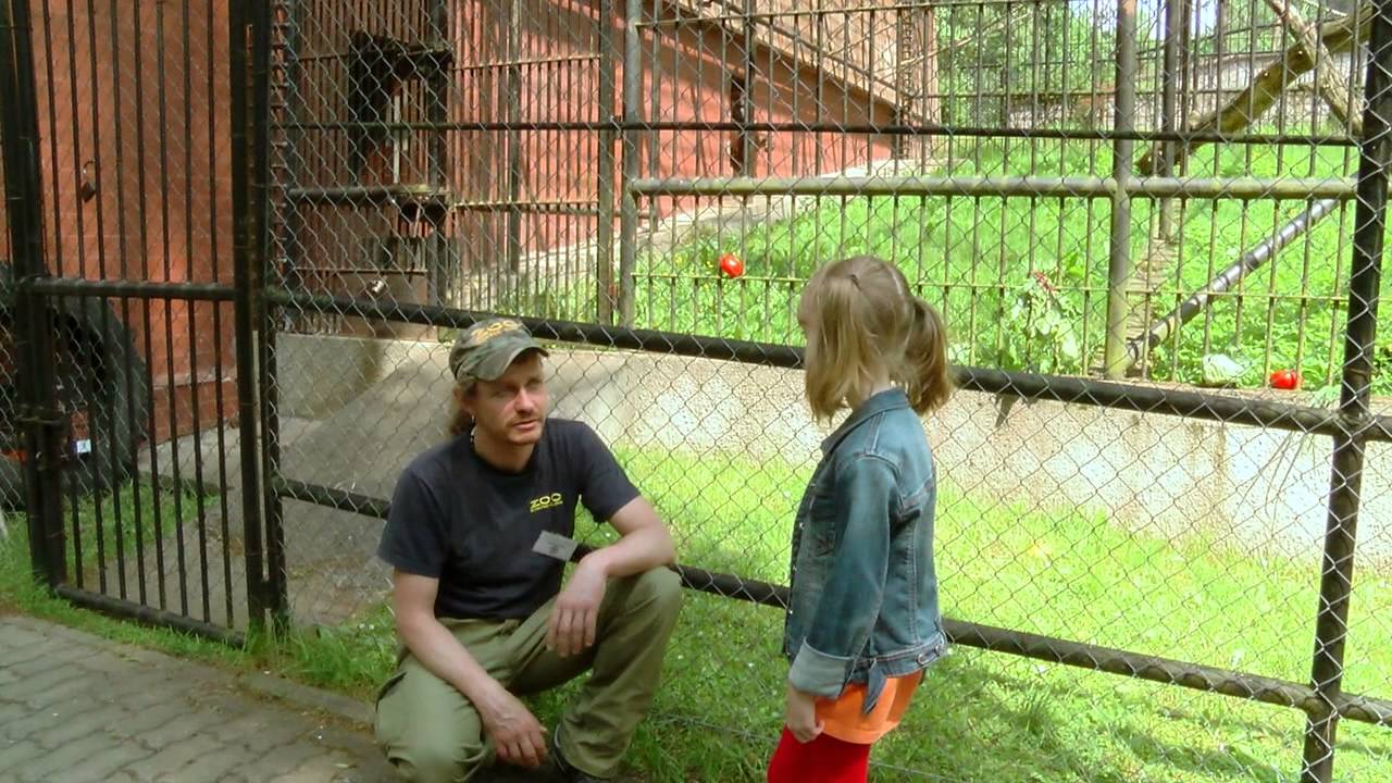 Raja i Albert, czyli orangutany z gdańskiego Zoo...