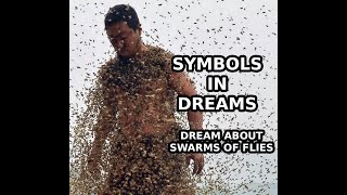 DREAM ABOUT SWARMS OF FLIES