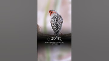 تلاوة خاشعة لسورة الزلزلة | "إِذَا زُلْزِلَتِ الْأَرْضُ زِلْزَالَهَا" #القرآن_الكريم #اكسبلور #ترند
