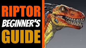 RIPTOR Beginner