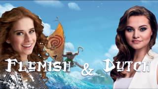 Video thumbnail of "Moana/Vaiana - How Far I'll Go - Dutch & Flemish Duet | Vajèn van den Bosch & Laura Tesoro"