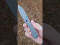 WE Banter about this knife #blade #sharp #shorts #knifelife #knifecommunity #knivescollection #fyp
