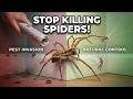 Why You Should NEVER Kill a House Spider