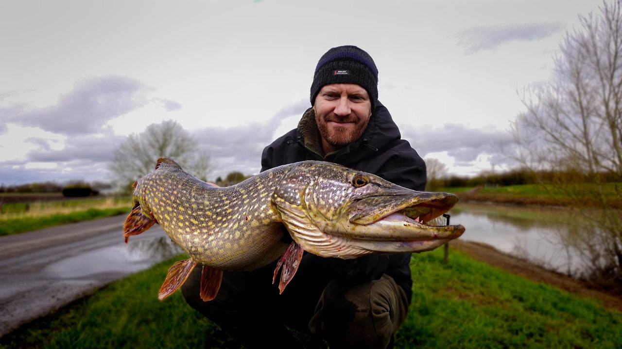 Pike Fishing on the River
