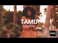 Tamu afro pop instrumental  prod by twak