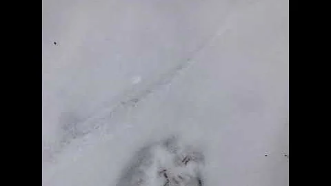 2019 Hunting Season Recap