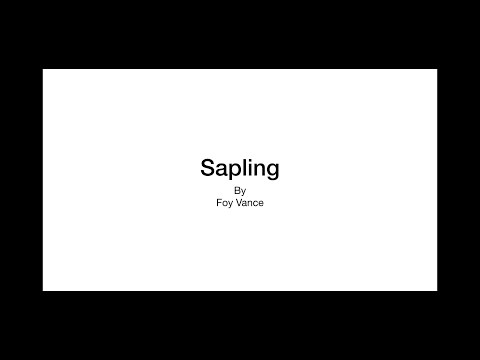Sapling  by Foy Vance - Easy Guitar Chords / Lyrics