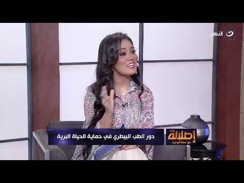 دور الطب البيطري في حماية الحياة البرية إطلالة مع سارة أبو زيد الأربعاء 10 سبتمبر 2025