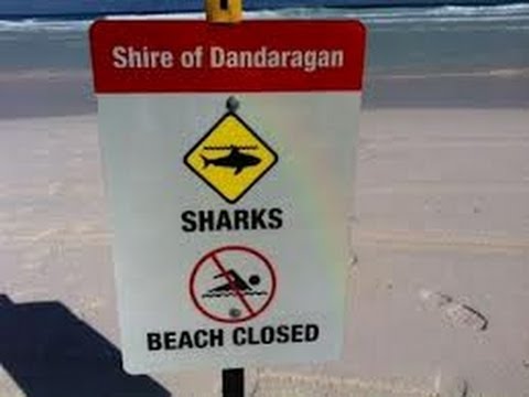 Shark Kills Surfer In Western Australia