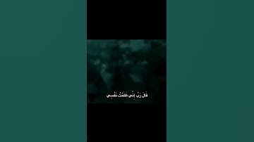 ما تيسر من سورة القَصَص 🤍
