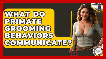 What Do Primate Grooming Behaviors Communicate? - Anthropology Insights