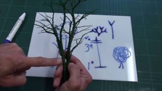 Realistic Scenic Trees  Species Specific Modelling