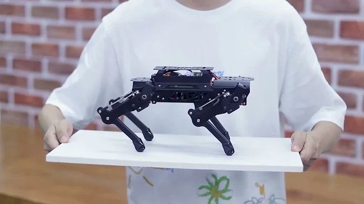 PuppyPi-Self Balancing