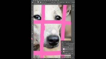 Remove dog Fence | Photoshop Tutorial