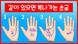 이런 손금을 가진 사람을 조심하세요 ✋ 돈이 술술 빠져 나갑니다