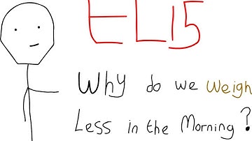 Why Do We Weigh Less In The Morning - Explain Like I