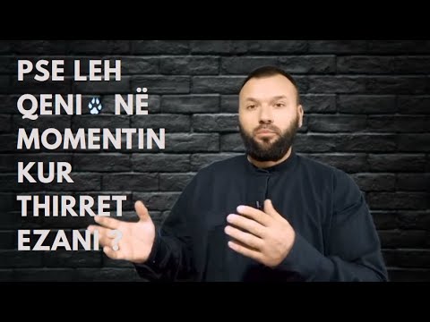 Video: Pse vajtojnë qentë natën?